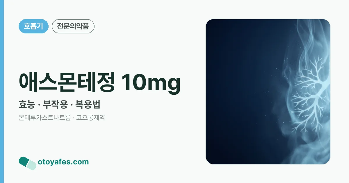 애스몬테정 10mg 정리 썸네일