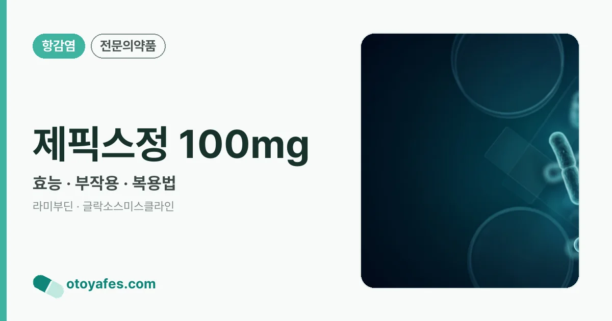 제픽스정 100mg 정리 썸네일