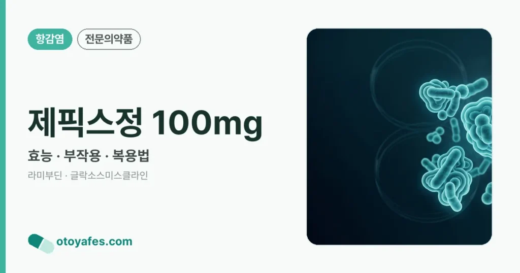 제픽스정 100mg 정리 썸네일