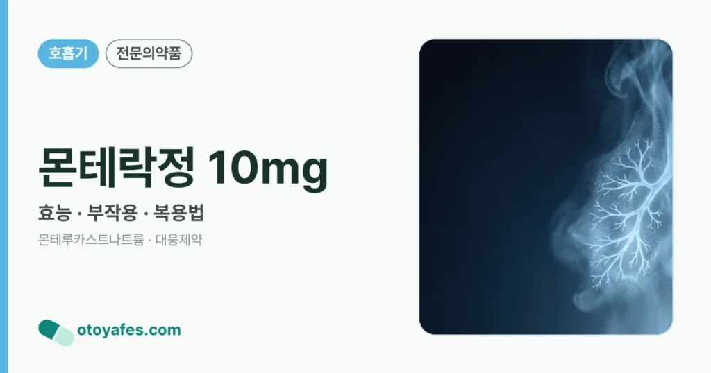 몬테락정 10mg 정리 썸네일