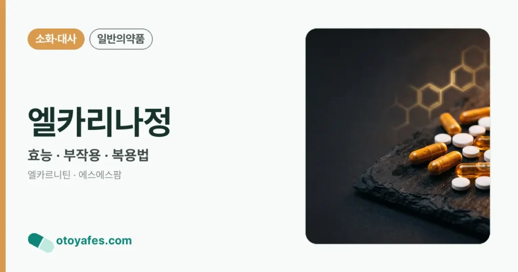엘카리나정 정리 썸네일
