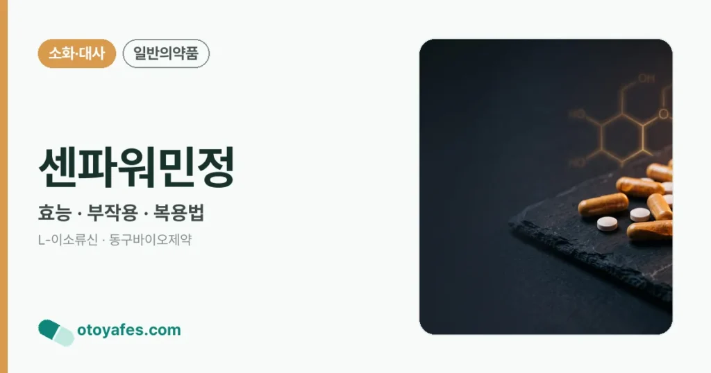 센파워민정 정리 썸네일