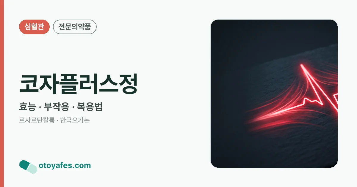 코자플러스정 정리 썸네일