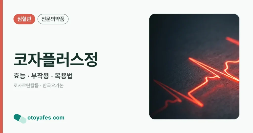 코자플러스정 정리 썸네일