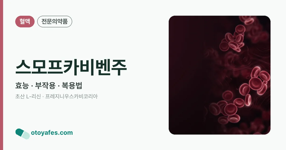 스모프카비벤주 정리 썸네일