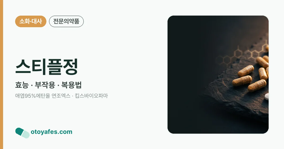 스티플정 정리 썸네일