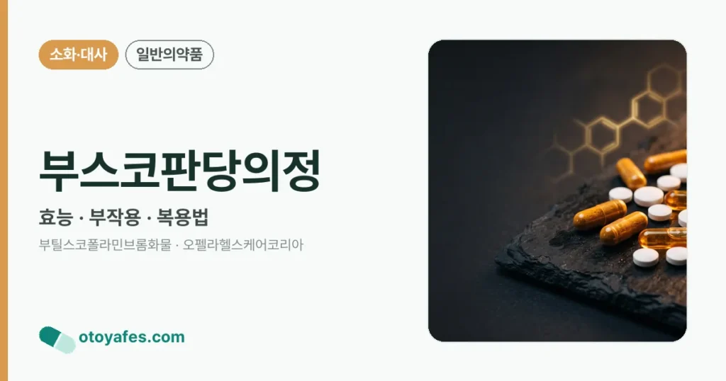 부스코판당의정 정리 썸네일