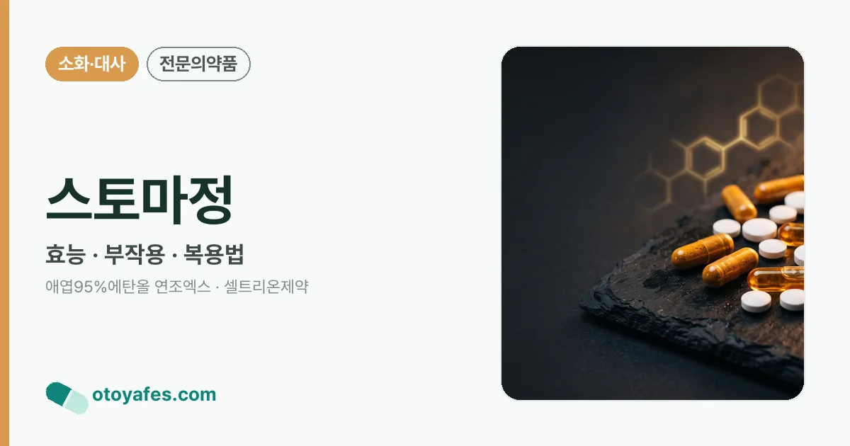 스토마정 정리 썸네일