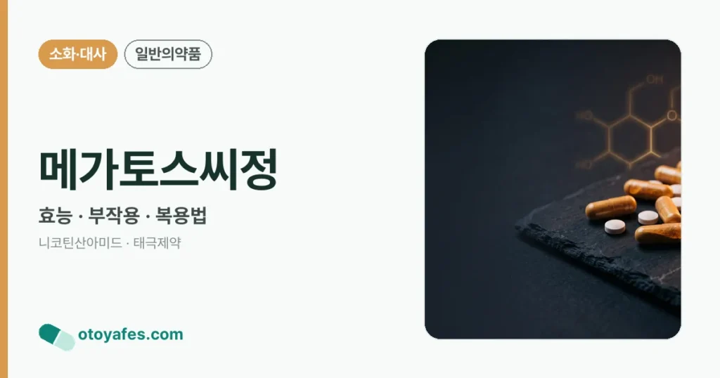 메가토스씨정 정리 썸네일