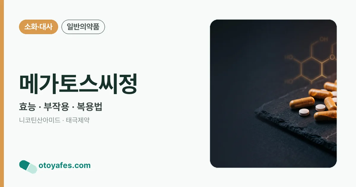 메가토스씨정 정리 썸네일