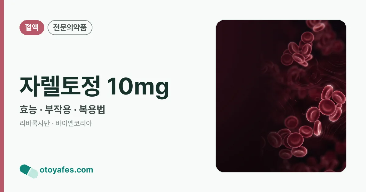 자렐토정 10mg 정리 썸네일