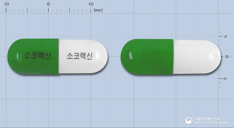 소코렉신캡슐 실물 사진
