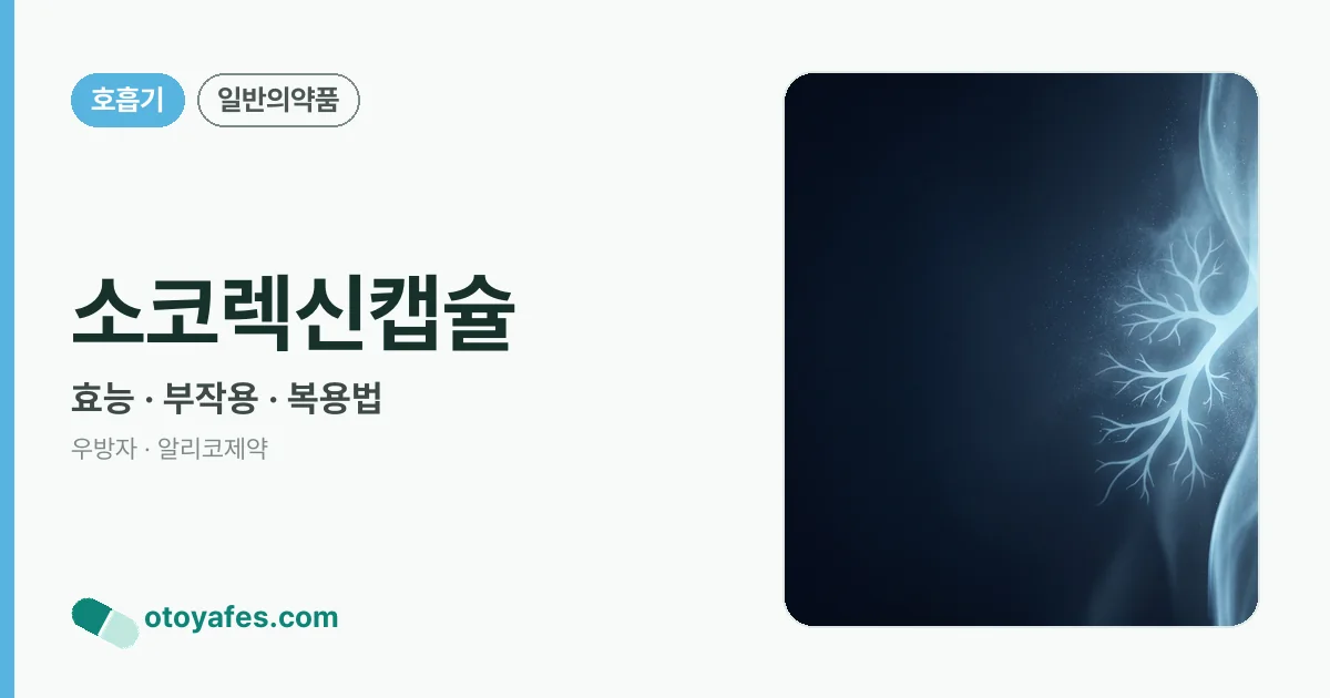 소코렉신캡슐 정리 썸네일