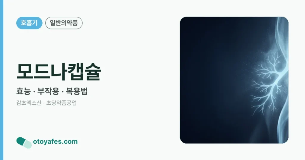 모드나캡슐 정리 썸네일