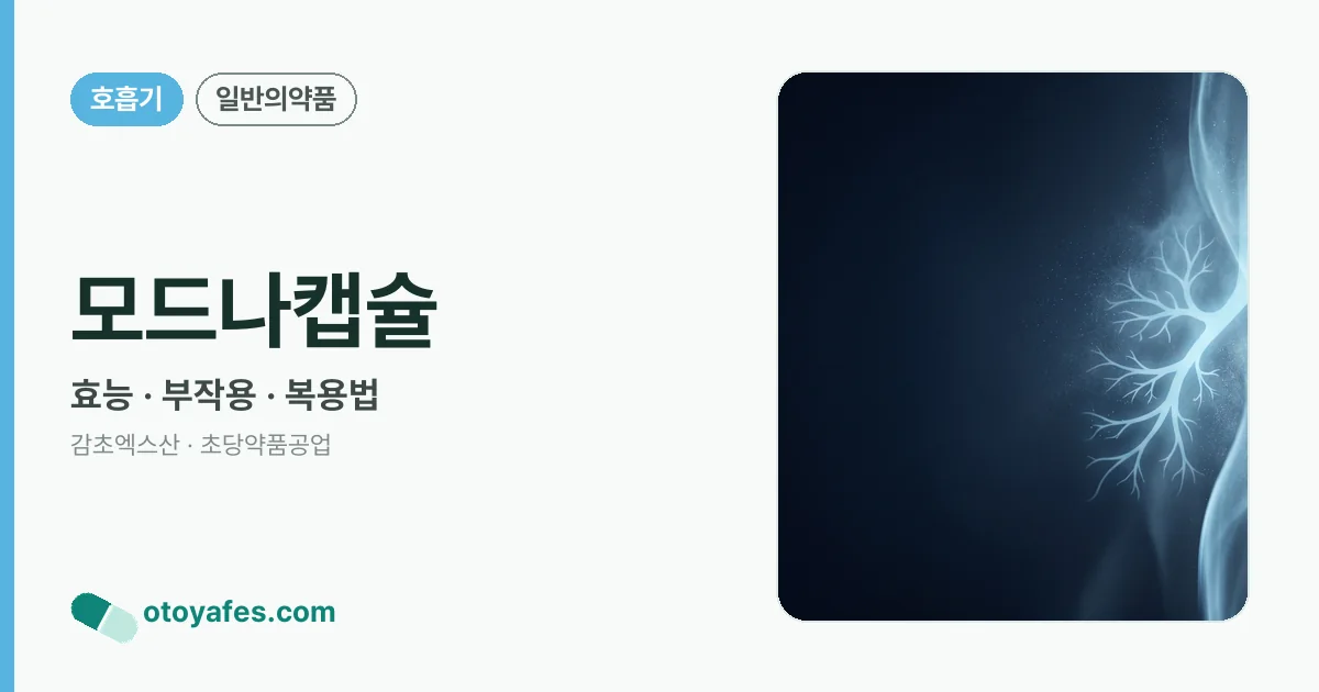 모드나캡슐 정리 썸네일