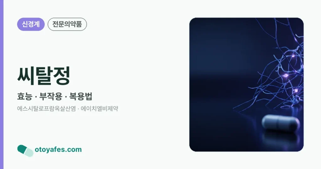 씨탈정 정리 썸네일