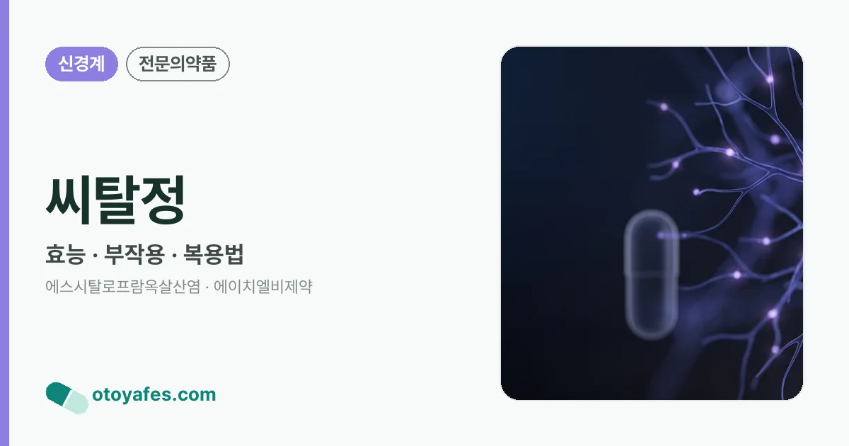 씨탈정 정리 썸네일