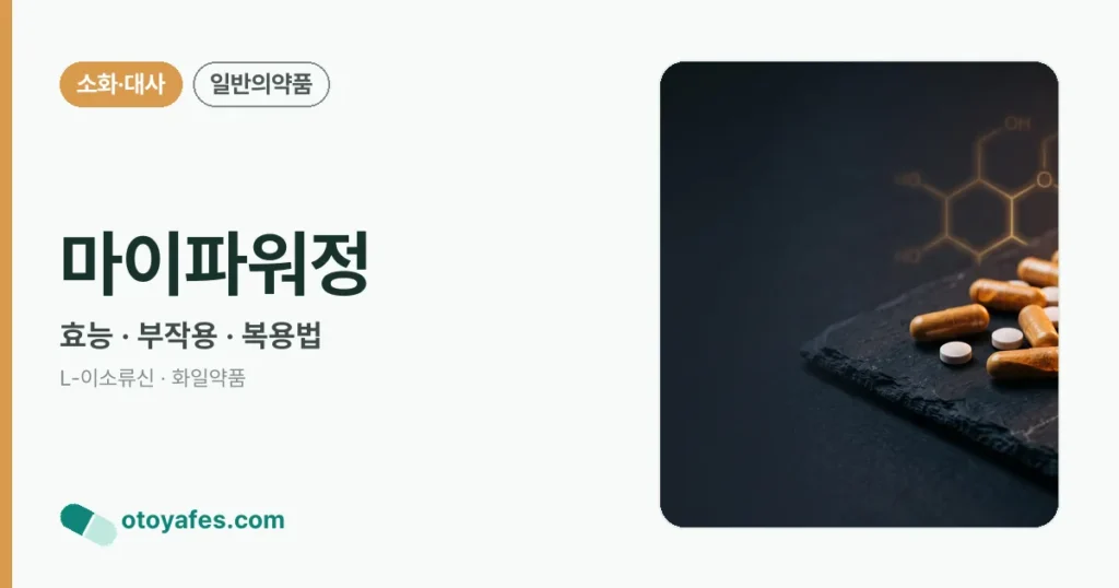 마이파워정 정리 썸네일