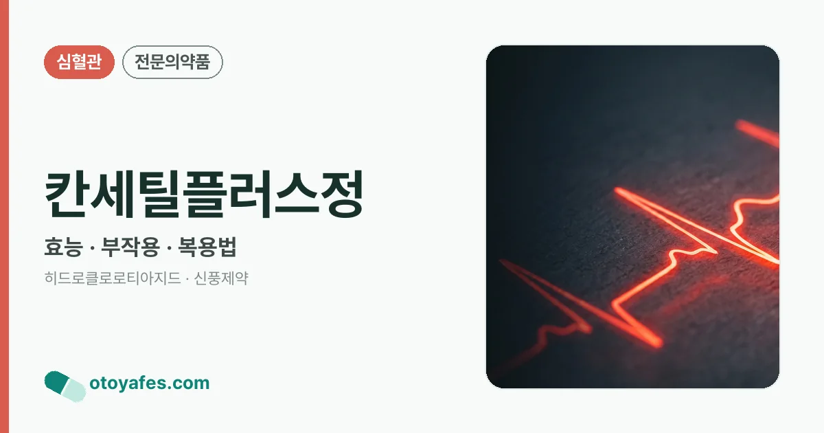 칸세틸플러스정 정리 썸네일