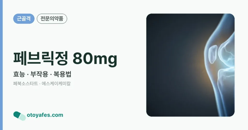 페브릭정 80mg 정리 썸네일