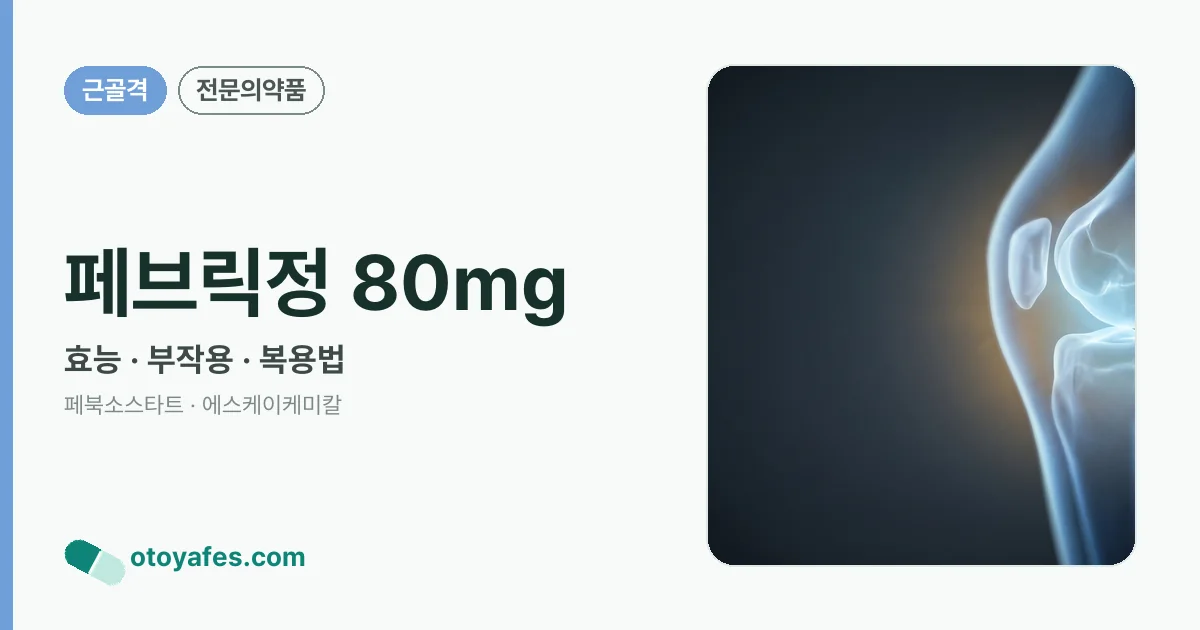 페브릭정 80mg 정리 썸네일