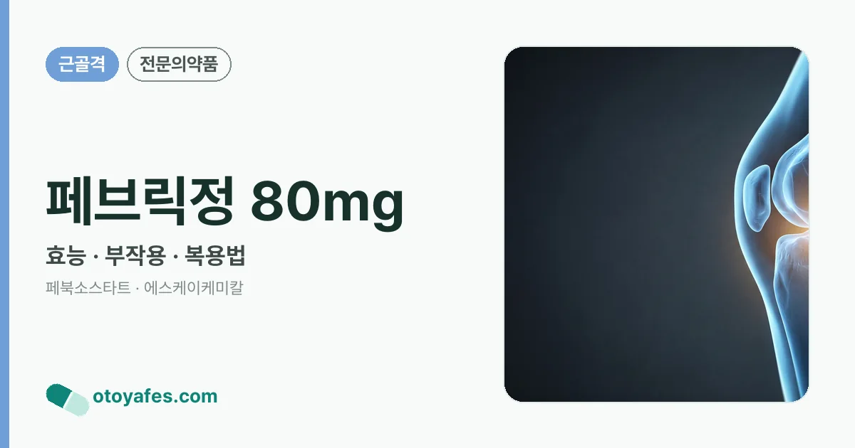 페브릭정 80mg 정리 썸네일