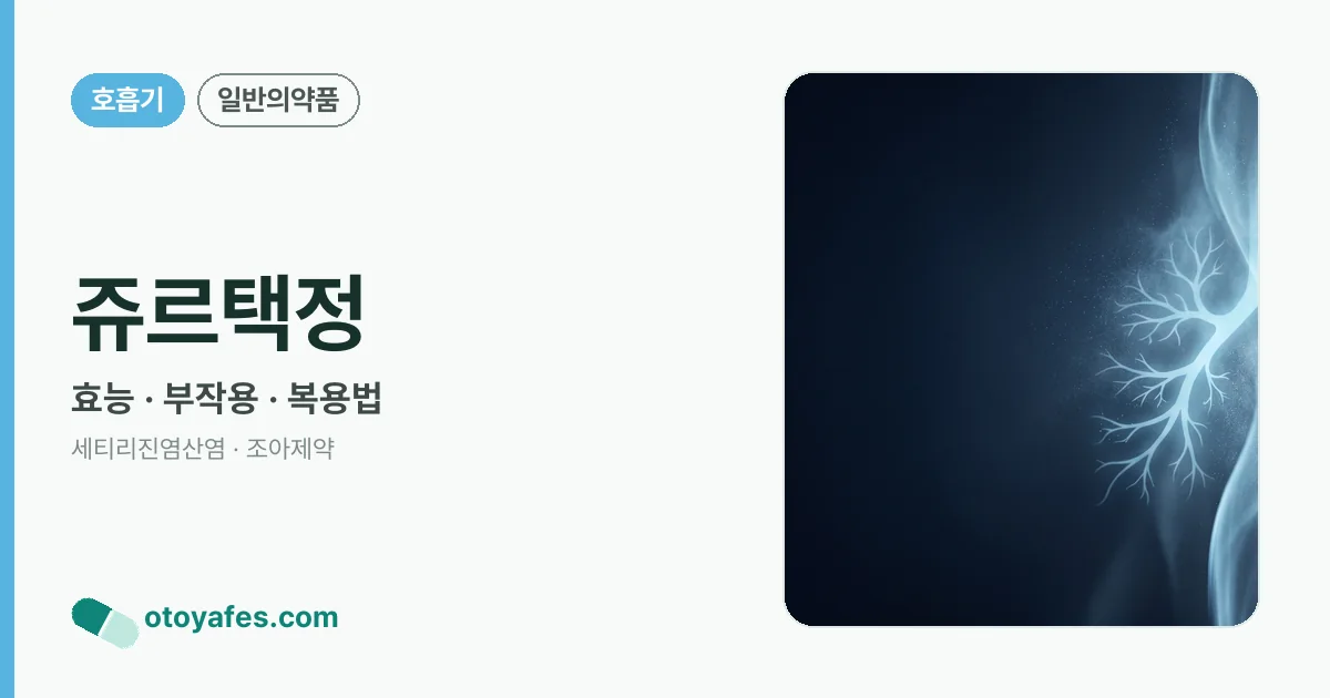 쥬르택정 정리 썸네일