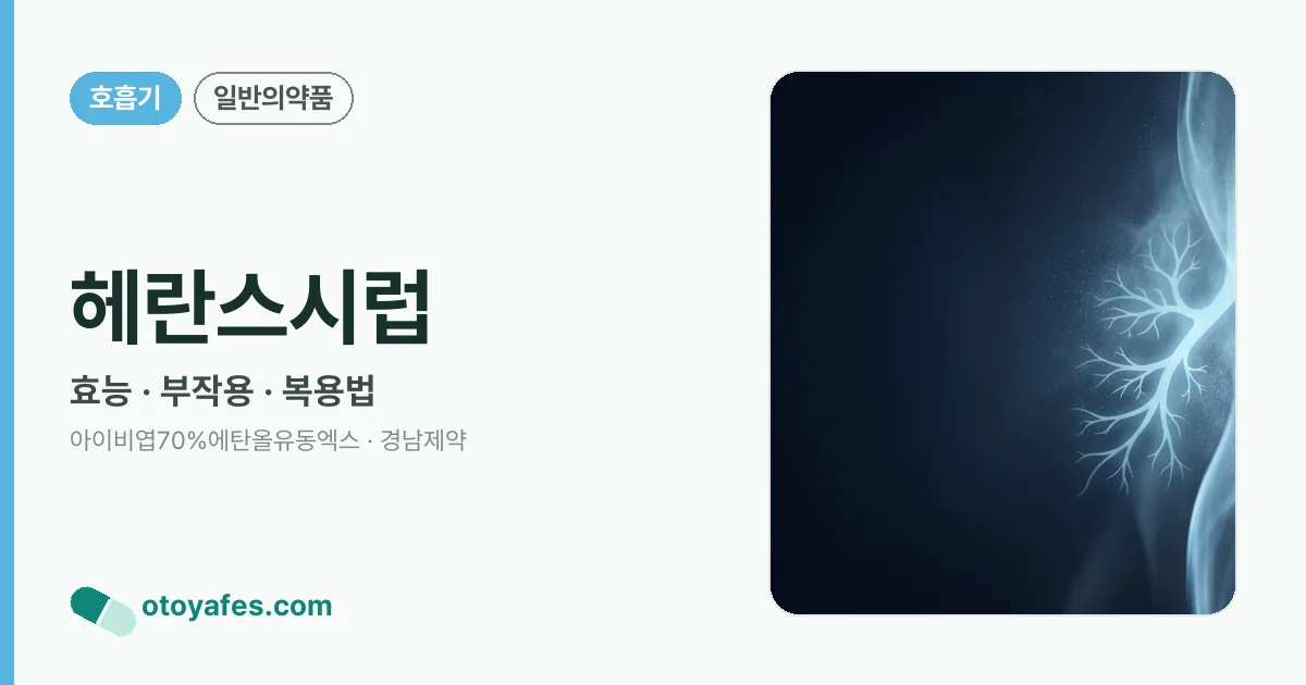 헤란스시럽 정리 썸네일