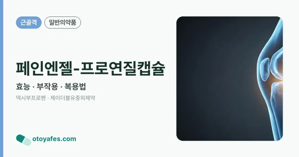 페인엔젤-프로연질캡슐 정리 썸네일