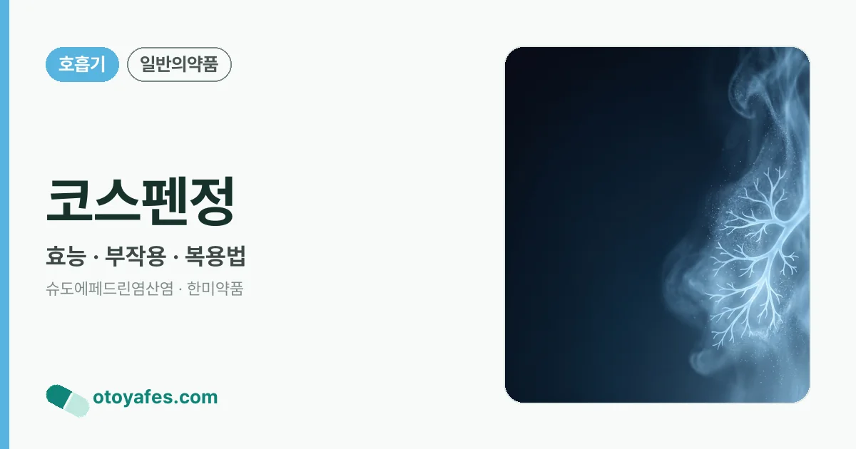 코스펜정 정리 썸네일