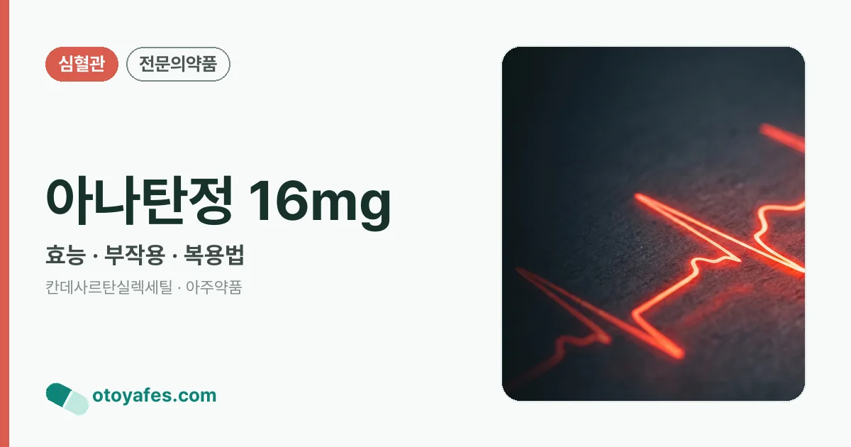 아나탄정 16mg 정리 썸네일