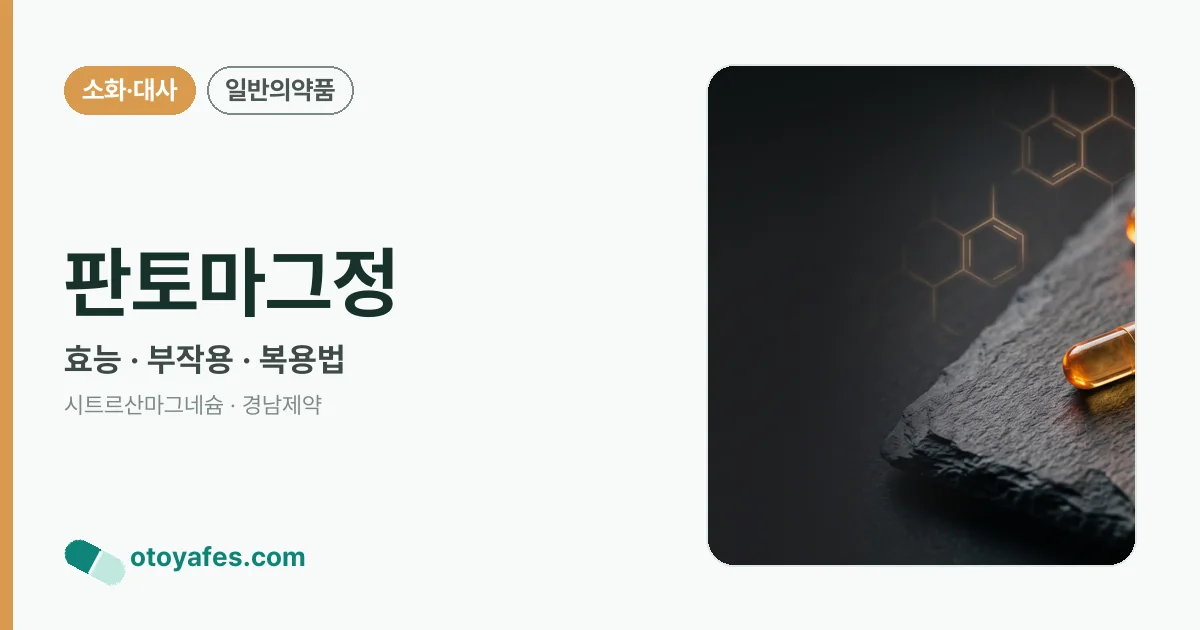 판토마그정 정리 썸네일