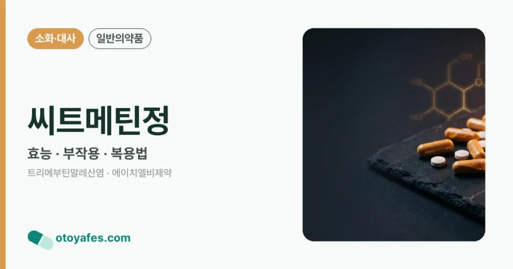 씨트메틴정 정리 썸네일