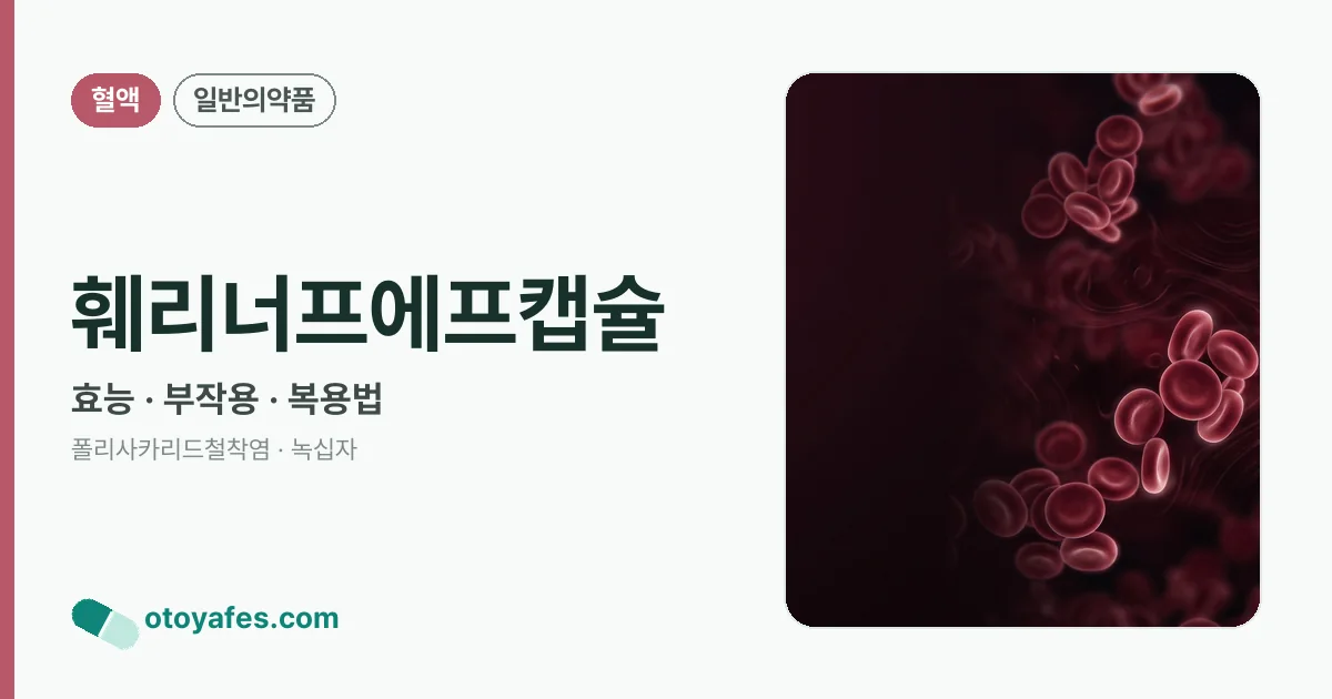 훼리너프에프캡슐 정리 썸네일