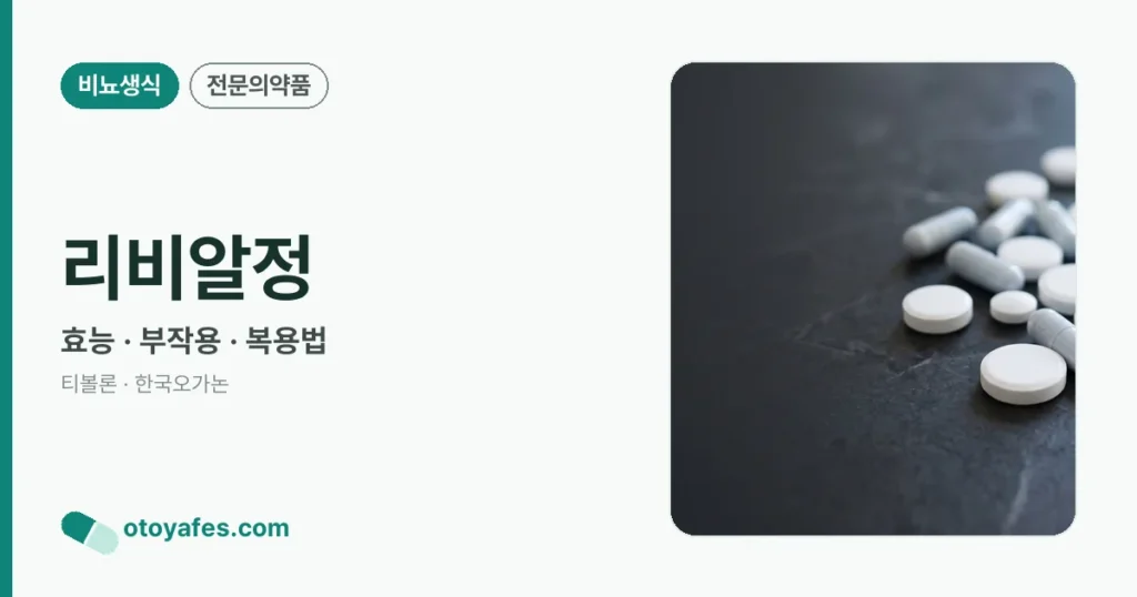 리비알정 정리 썸네일