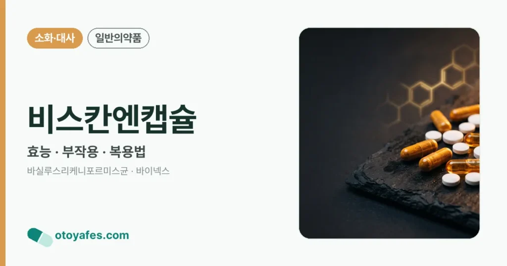 비스칸엔캡슐 정리 썸네일