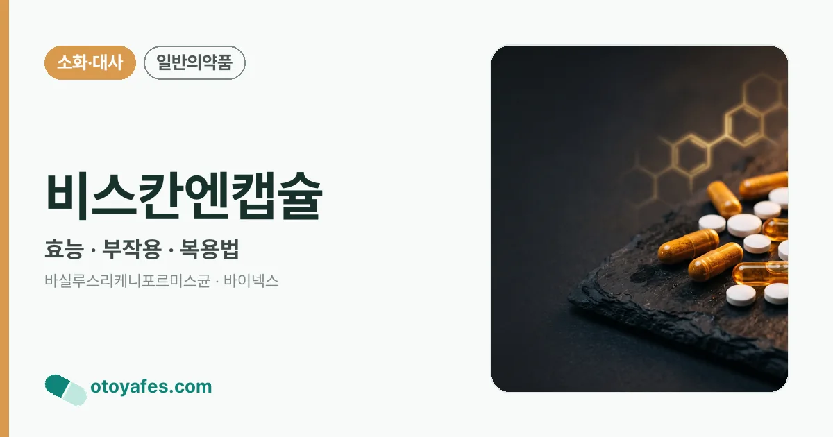 비스칸엔캡슐 정리 썸네일