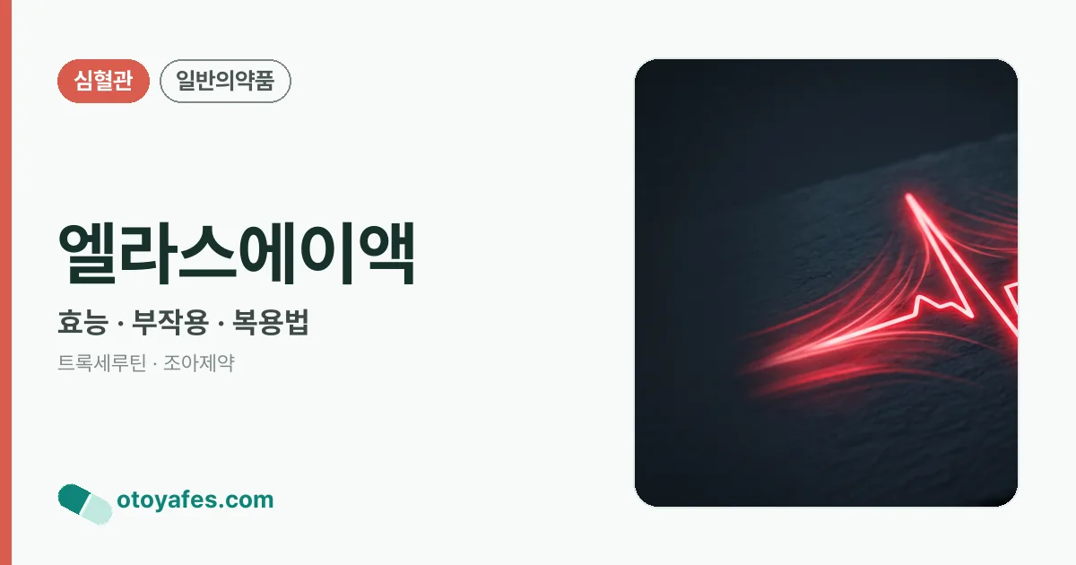 엘라스에이액 정리 썸네일