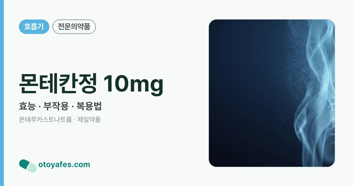 몬테칸정 10mg 정리 썸네일