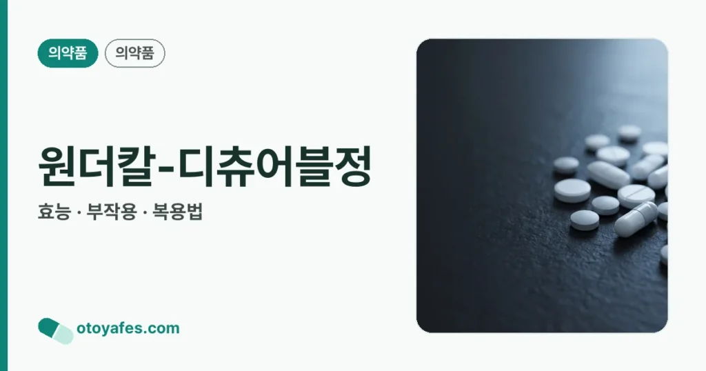 원더칼-디츄어블정 정리 썸네일