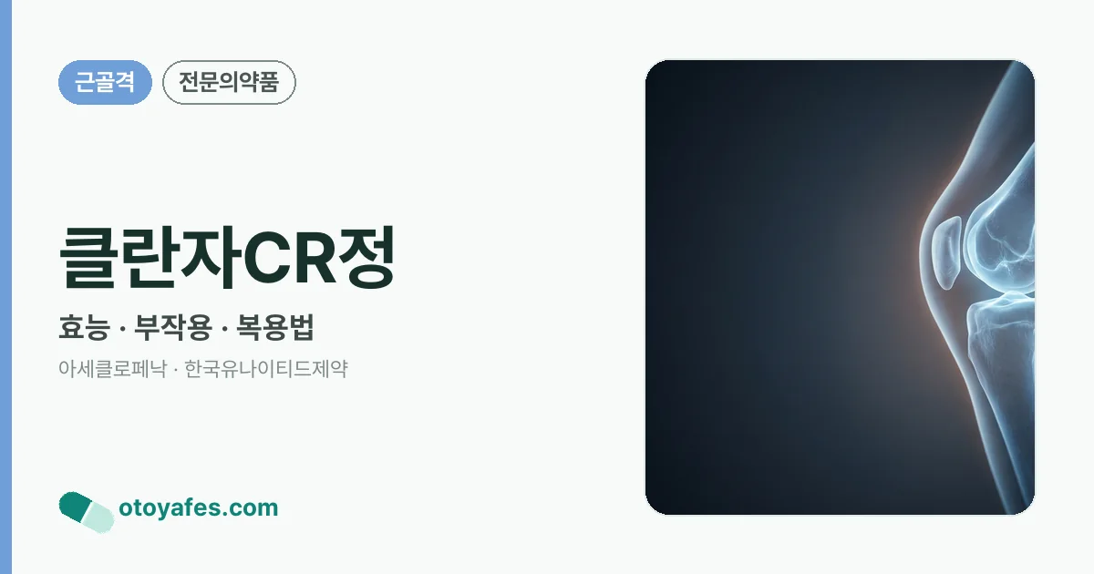 클란자CR정 정리 썸네일