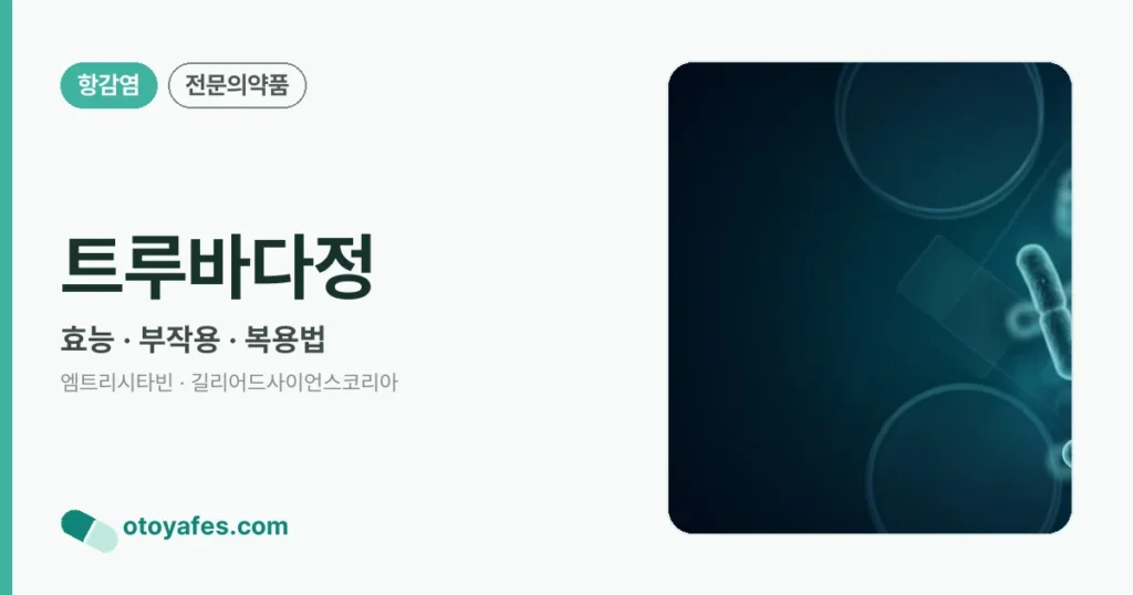 트루바다정 정리 썸네일