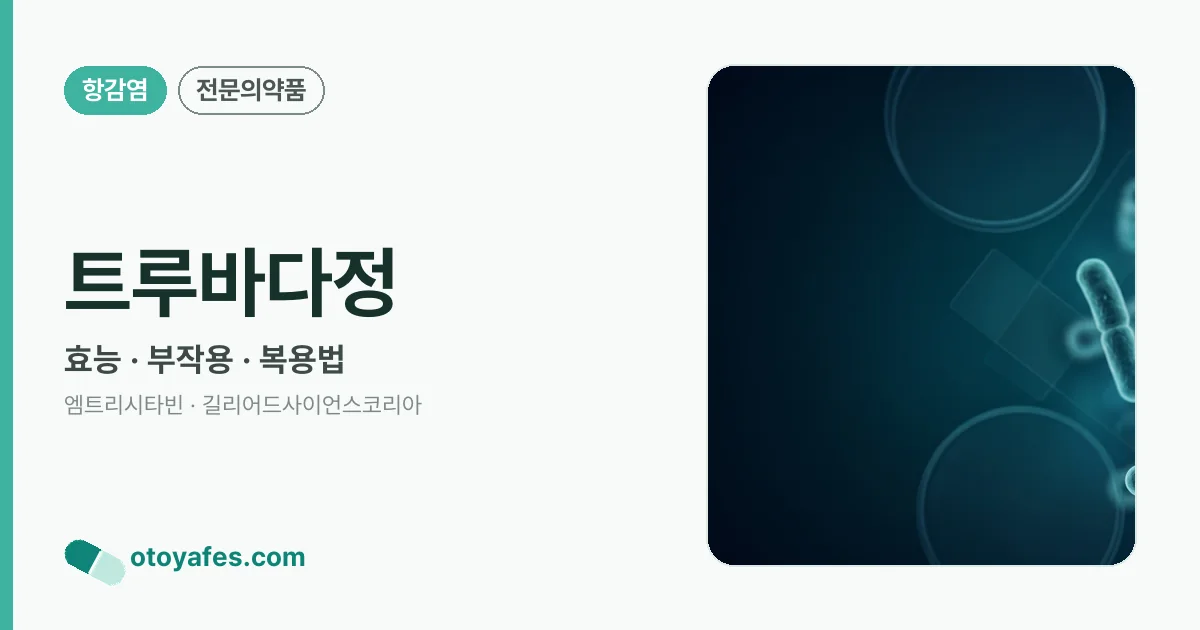 트루바다정 정리 썸네일