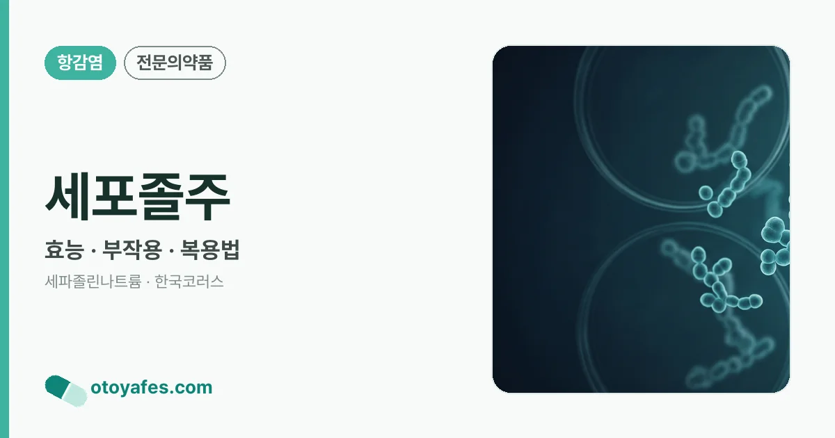 세포졸주 정리 썸네일