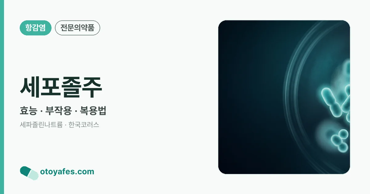 세포졸주 정리 썸네일