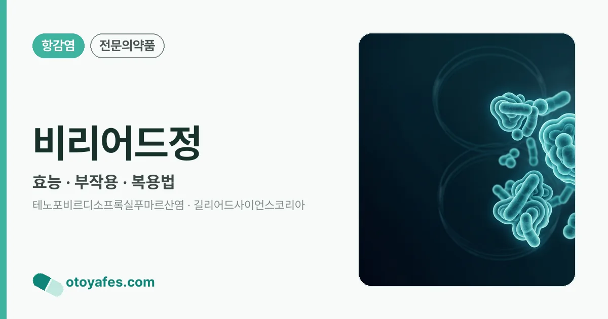 비리어드정 정리 썸네일