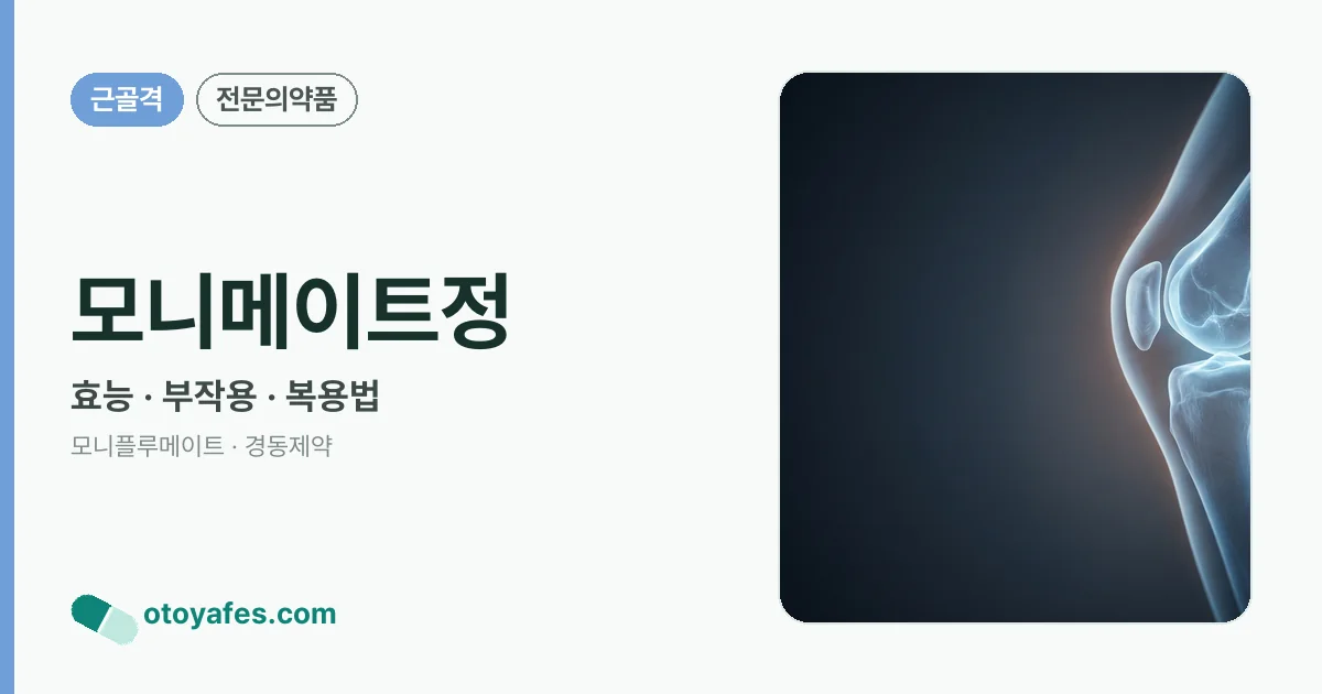 모니메이트정 정리 썸네일