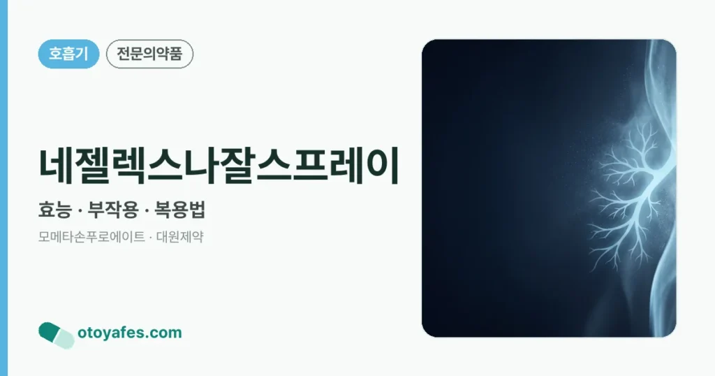 네젤렉스나잘스프레이 정리 썸네일