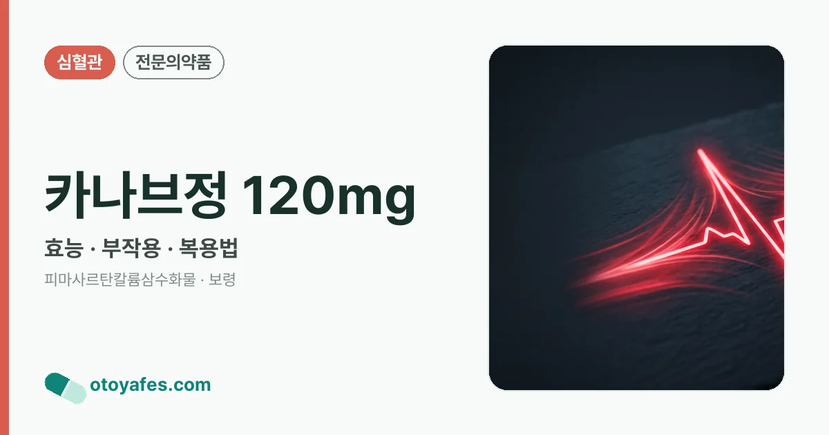 카나브정 120mg 정리 썸네일