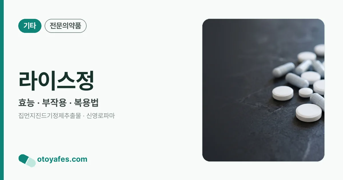 라이스정 정리 썸네일